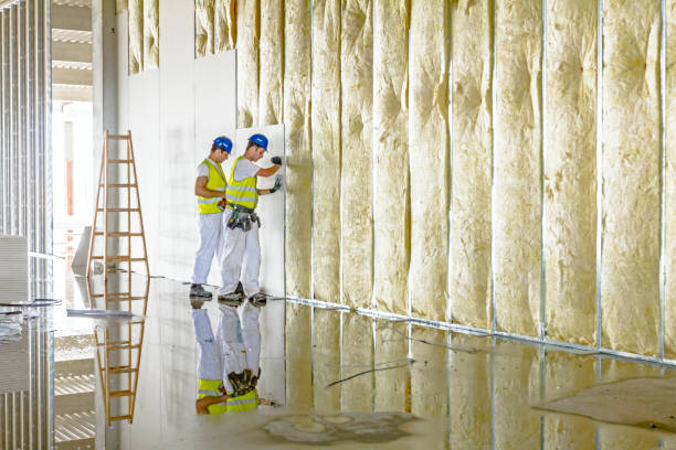 Best Fiberglass Insulation  in Morgantown, WV